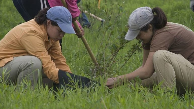 Φιλιππίνες: Αν δεν φυτέψεις 10 δέντρα… δεν παίρνεις απολυτήριο!