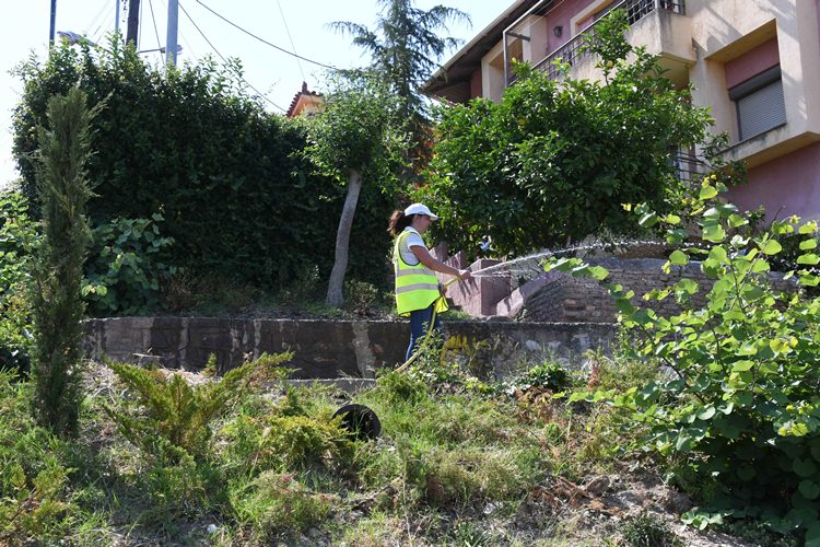 Πάτρα: Συνεχίζεται η κοπή χόρτων και κλάδεμα δένδρων
