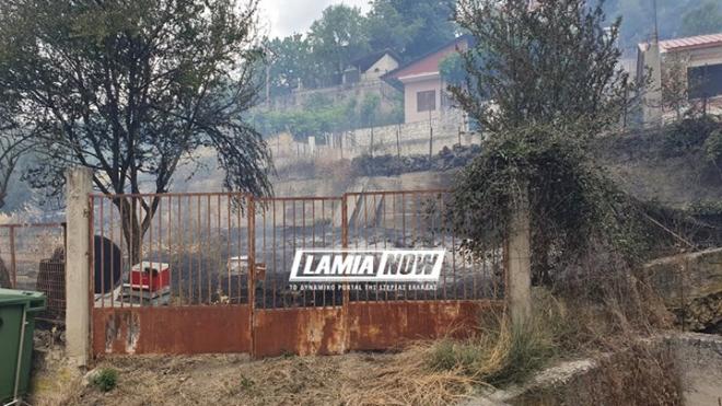 Κάηκαν αυλές σπιτιών στη Δίβρη - Οι φλόγες έφτασαν στον οικισμό - ΦΩΤΟ - ΒΙΝΤΕΟ