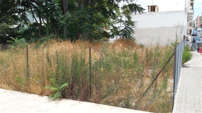 Πάτρα: Κίνδυνος πυρκαγιάς στην διανοιγμένη Κανακάρη από τα ακούρευτα οικόπεδα