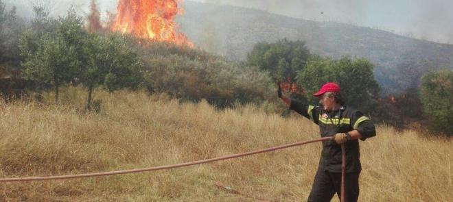 ΔΕΙΤΕ ΦΩΤΟ: Φωτιά σε δασική έκταση στη Ζάκυνθο