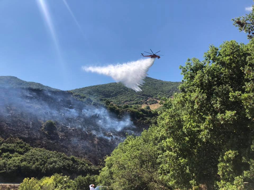 Πώς σώθηκε το δάσος στα Καλάβρυτα και το όμορφο χωριό Πεύκο - Φωτογραφίες από τη χθεσινή επικίνδυνη φωτιά