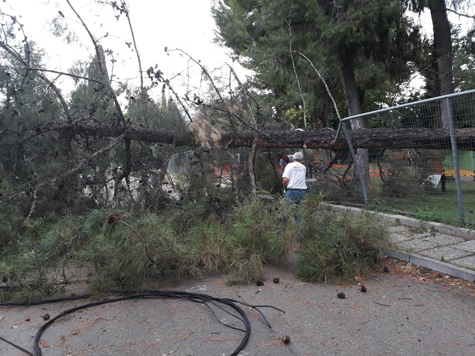 Βομβαρδισμένο τοπίο η Κωπαΐδα – Ανεμοστρόβιλος διαπέρασε την Αλίαρτο