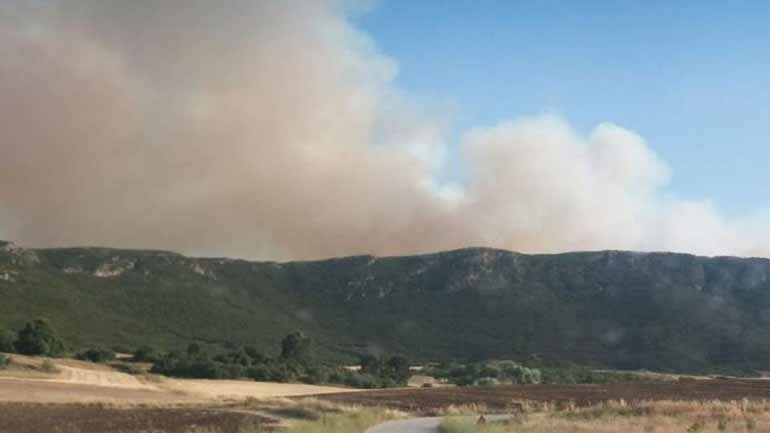 Ενδείξεις εμπρησμού για την πυρκαγιά στην Τιθορέα