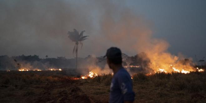 Οι κύριες αιτίες για τις φωτιές στον Αμαζόνιο: Τι λένε οι ειδικοί