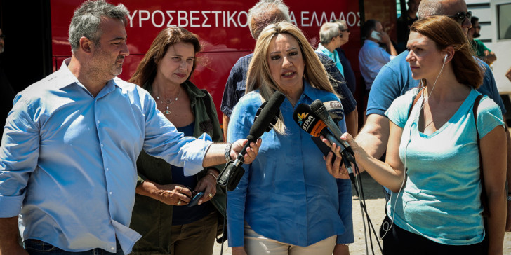 Φώφη Γεννηματά για τη φωτιά στην Εύβοια: Μεγάλη οικολογική καταστροφή