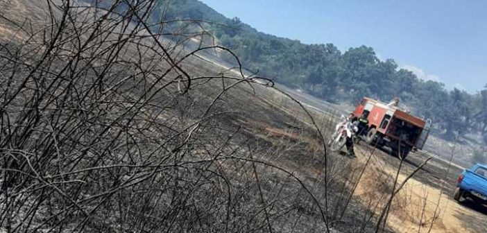 Υπό έλεγχο η φωτιά στην Παλαιομάνινα Αιτωλοακαρνανίας - Κάηκαν πάνω από 50 στρέμματα (ΦΩΤΟ)