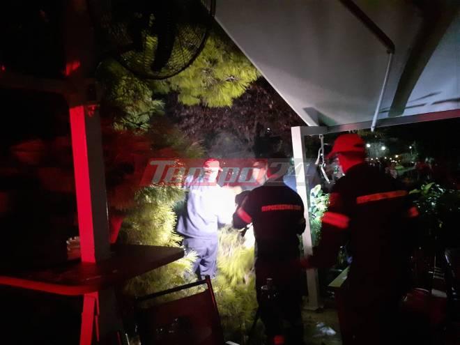 Πάτρα: Δέντρο έπεσε πάνω σε θαμώνες στα Ψηλαλώνια - ΦΩΤΟ - ΒΙΝΤΕΟ