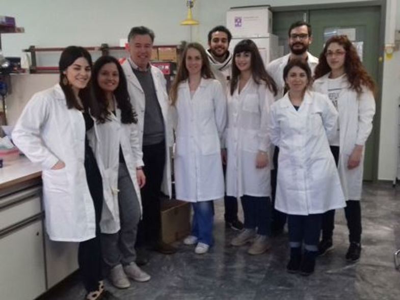 Ένα βήμα μπροστά το Πανεπιστήμιο Πατρών - Ερευνητές μελετούν την υδροκεφαλία