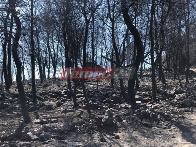 Πυρκαγιά Ζακύνθου: Σοκάρουν τα στοιχεία και η έκταση της καμμένης γης