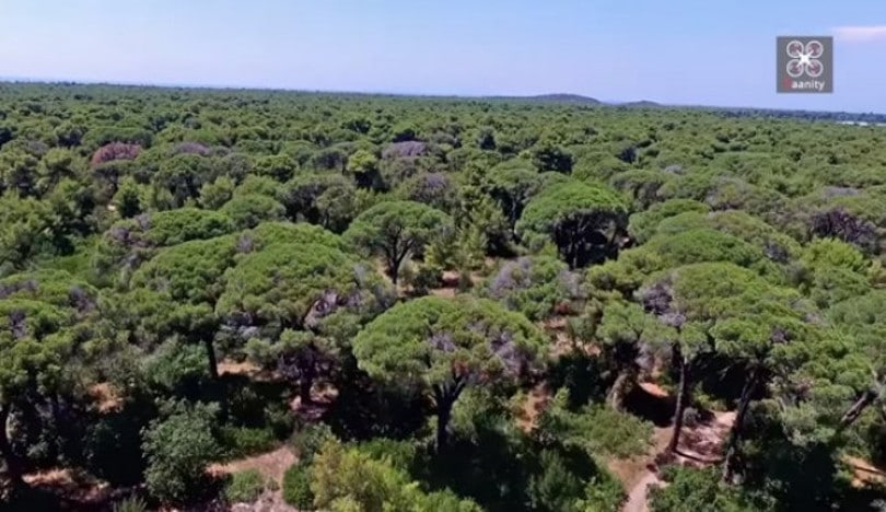 Υπόθεση Novartis: Καταθέτει σήμερα ο Άδωνις Γεωργιάδης στον Άρειο Πάγο