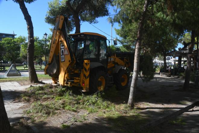 Πάτρα: Συνεχίζεται σήμερα το κλάδεμα δέντρων - Δείτε σε ποια σημεία