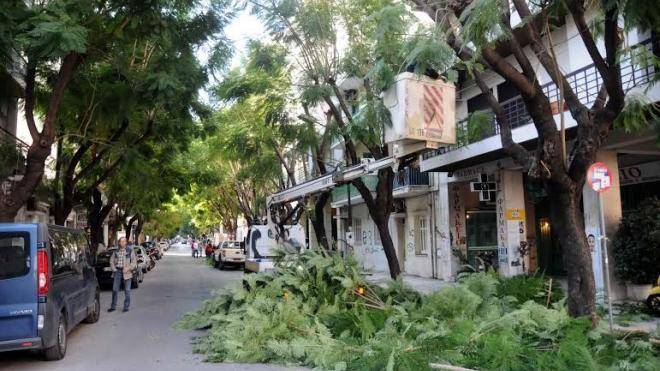 Πάτρα: Συνεχίζεται το κλάδεμα δένδρων - Τα σημεία