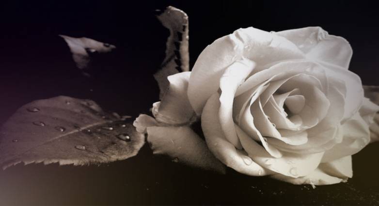 Πέθαναν και κηδεύονται