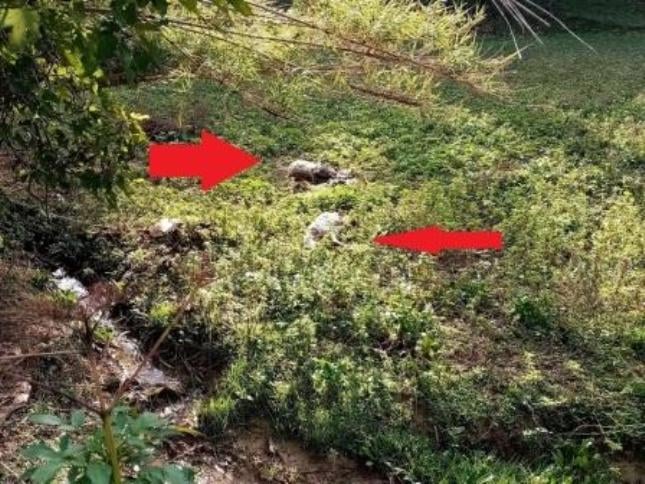 Πατρινές μαθήτριες δεύτερες στον κόσμο στην Ολυμπιάδα ρομποτικής - ΦΩΤΟ