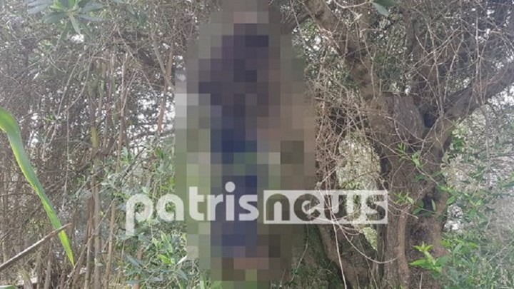 Πύργος: Άνδρας βρέθηκε κρεμασμένος σε δέντρο - Είχε δηλωθεί εξαφάνιση του