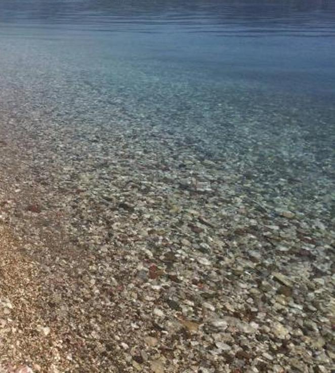 Η απρόσμενη συνάντηση λουόμενου με θαλάσσιο φίδι στο Ρίο - ΦΩΤΟ