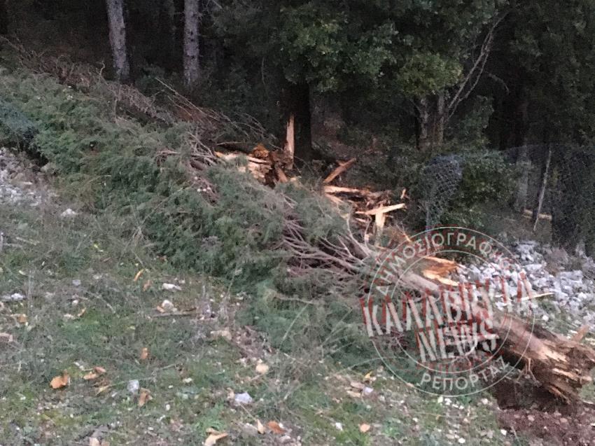 Αχαΐα: Αποκόλληση βράχου στο Λειβάρτζι - Σταμάτησε λίγο πριν τα σπίτια - ΦΩΤΟ