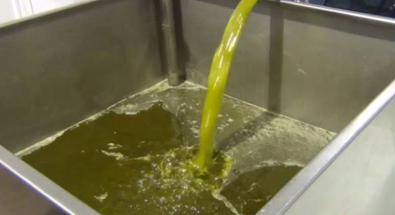 Αχαΐα: Η επιταγή για 2 τόνους λάδι ήταν "πέτσινη" - Αναζητείται ιδιοκτήτης εταιρείας