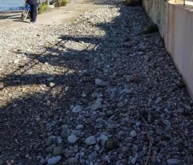 Πάτρα: Απροσπέλαστη η παραλιακή των Βραχνεϊκων - Έκτακτη σύσκεψη με Τογιοπούλου
