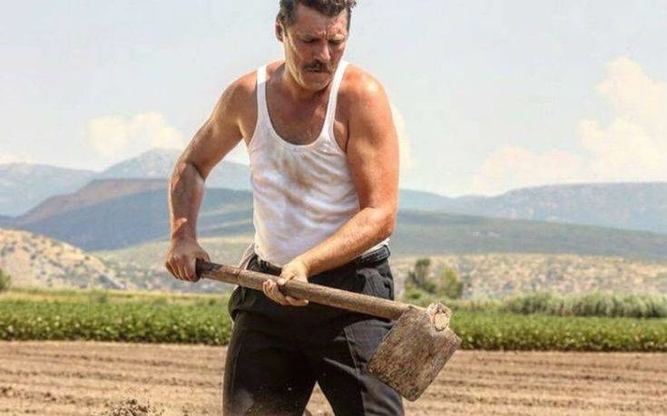 Ο Γιάννης Στάνκογλου αποκάλυψε τον έρωτα που έρχεται στις Άγριες Μέλισσες