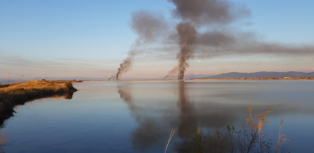 Ποιοι βάζουν φωτιές στον υδροβιότοπο της Στροφυλιάς; Σοβαρή καταγγελία - ΒΙΝΤΕΟ