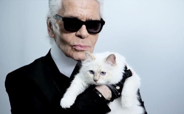 Tι κάνει η γάτα του Λάγκερφελντ έναν χρόνο μετά το θάνατό του;