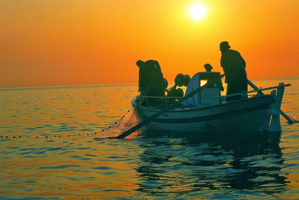 Έκπληκτος ο ψαράς στην Ηλεία! Δείτε τί έπιασαν τα δίχτυα του - ΦΩΤΟ