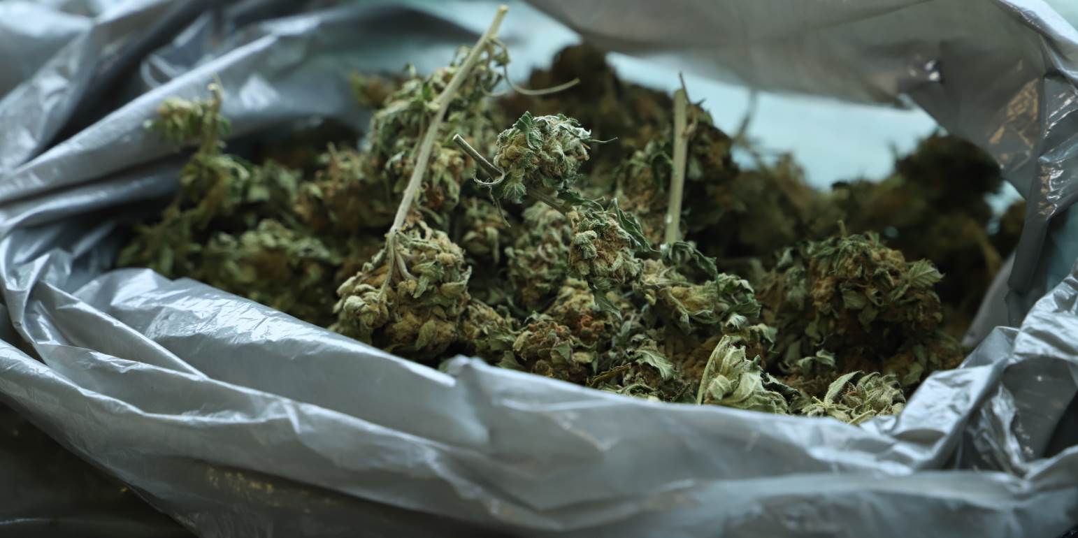 Αχαΐα: Σύλληψη εγκληματικής οργάνωσης - Είχε "σπρώξει" 31 κιλά κάνναβης αξίας 93.000 ευρώ