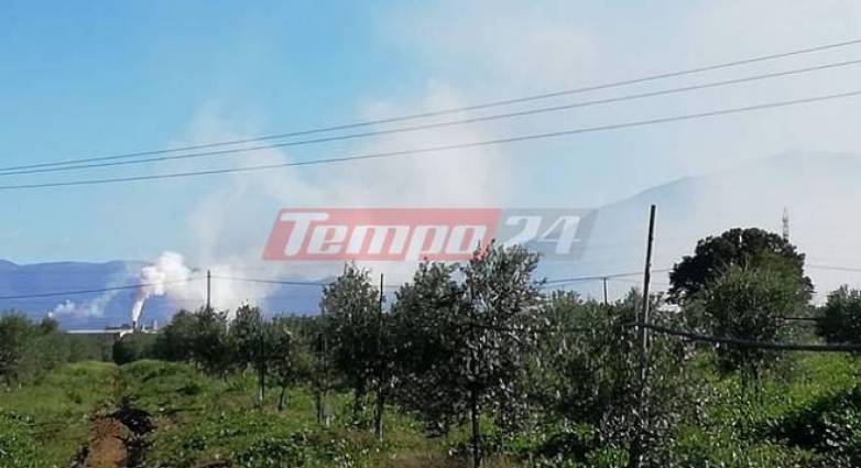 Αχαΐα: Επανήλθε η δυσοσμία από τα Πυρηνελαιουργεία - Αφόρητη η κατάσταση στην Πάτρα