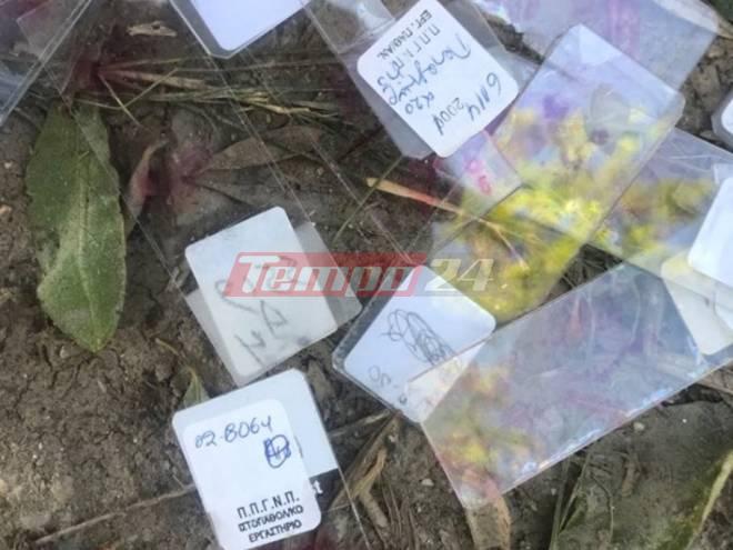 Νοσοκομείου Ρίου: Χρησιμοποιημένο υγειονομικό υλικό με ονόματα ασθενών πεταμένο έξω από κάδους απορριμμάτων - ΦΩΤΟ