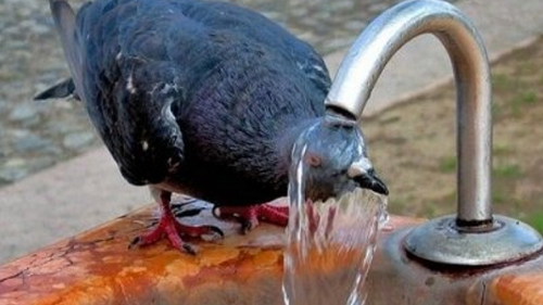 Ο πιο ζεστός Απρίλιος από το 1880 ο φετινός