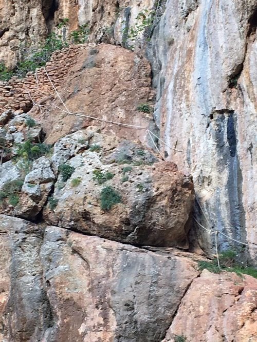 "Ξηλώθηκε" εγκληματική οργάνωση αρχαιοκάπηλων - Έρευνες και συλλήψεις σε Αχαΐα, Κορινθία, Αρκαδία - Πώς δρούσε η σπείρα - ΦΩΤΟ