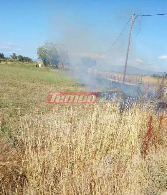 Πυρκαγιά στο Λιμνοχώρι - Εκδηλώθηκε σε κολόνα της ΔΕΗ (ΦΩΤΟ)