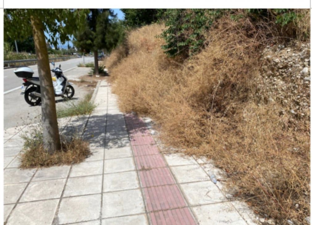 Πάτρα: «Ζούγκλα» τα πεζοδρόμια στην οδό Βενιζέλου