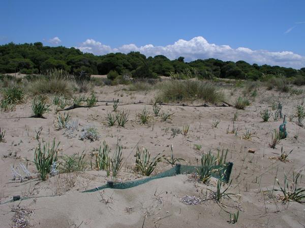 Κόντρες για τον δρόμο διαφυγής σε περίπτωση πυρκαγιάς στην Στροφυλιά