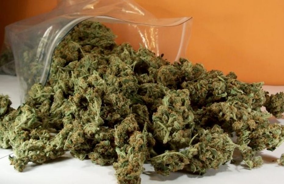 Μεσολόγγι: Στη "φάκα" με πάνω από ένα κιλό κάνναβης