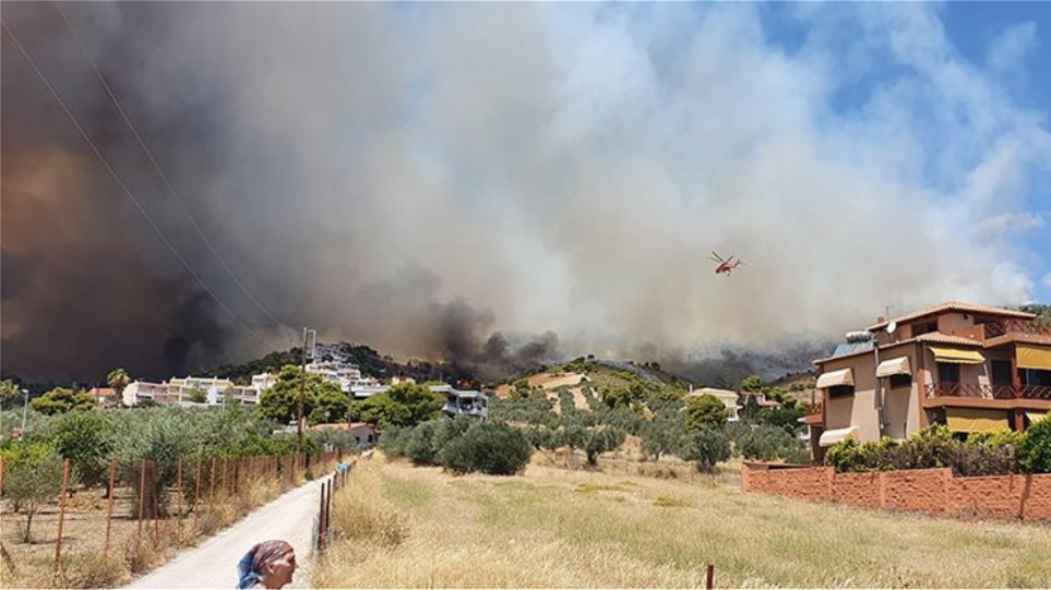 Ξέσπασαν 57 δασικές πυρκαγιές σε μόνο 24 ώρες - Μια φωτιά κάθε μισή ώρα!