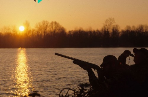 Αχαΐα: Καθολική απαγόρευση κυνηγιού στο Εθνικό Πάρκο Στροφυλιάς