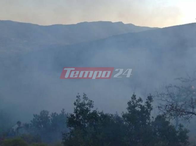 Αχαΐα: Δασική πυρκαγιά στο Μιχόι - Επιχείρησαν 30 πυροσβέστες - "Σηκώθηκαν" εναέρια μέσα -ΝΕΟΤΕΡΑ - ΦΩΤΟ