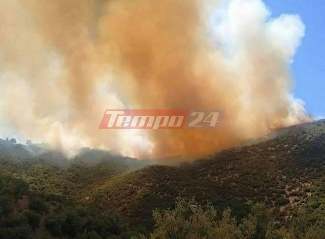 ΕΚΤΑΚΤΟ - Αχαΐα: Προσαγωγή ατόμου για την πυρκαγιά στον Μικρό Ποντιά - Τέθηκε υπό έλεγχο - ΦΩΤΟ