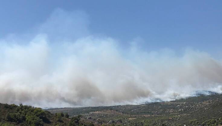 Ανεξέλεγκτη η φωτιά σε Ανάβυσσο - Κερατέα: Καίγονται σπίτια - Νέα εντολή εκκένωσης οικισμών - Σε κατάσταση έκτακτης ανάγκης ο Δήμος Σαρωνικού - ΒΙΝΤΕΟ