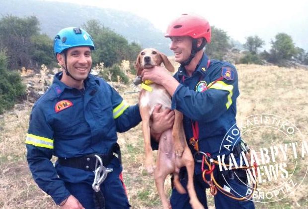 Επιχείρηση σε φαράγγι για την διάσωση κυνηγετικού σκύλου από τους Πυροσβέστες των Καλαβρύτων-ΦΩΤΟ