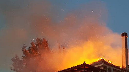 Αυξάνονται τα κρούσματα στο Πανεπιστήμιο Πατρών - Θετικές δύο καθηγήτριες και μία φοιτήτρια