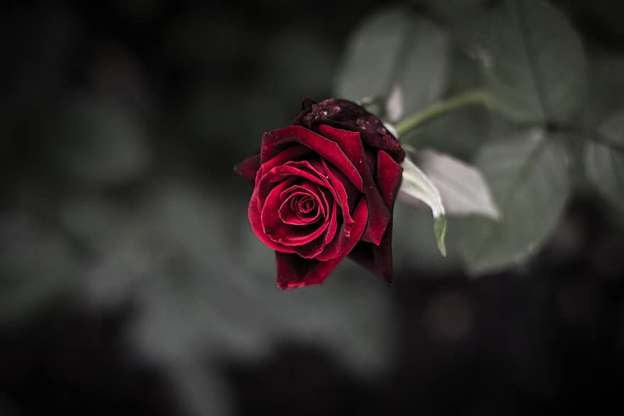 Ώρα Πατρών: Για την απώλεια της Κ. Παγουλάτου