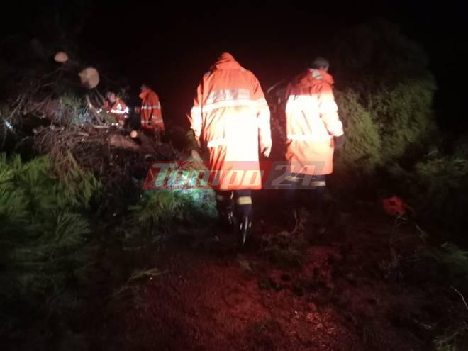 Σαντομέρι: Συναγερμός στην Πυροσβεστική - Μεγάλο δέντρο έπεσε στον δρόμο για την Ι.Μ. Αγίας Μαρίνας (ΦΩΤΟ)