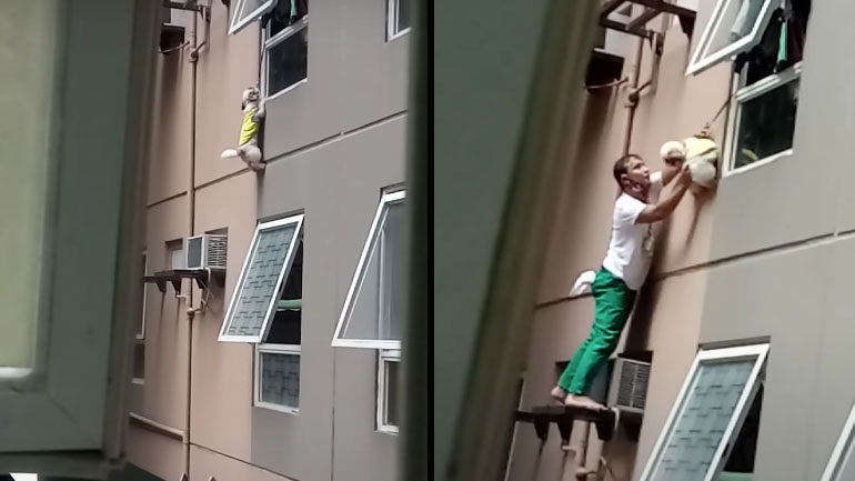 Διάσωση σκύλου που κρεμάστηκε από το λουρί του