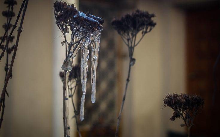 Καιρός: Ισχυρός παγετός τη νύχτα, το θερμόμετρο έφτασε τους -7,6 βαθμούς