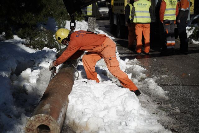 Τραγωδία στην Εύβοια: Άνδρας καταπλακώθηκε από δέντρο
