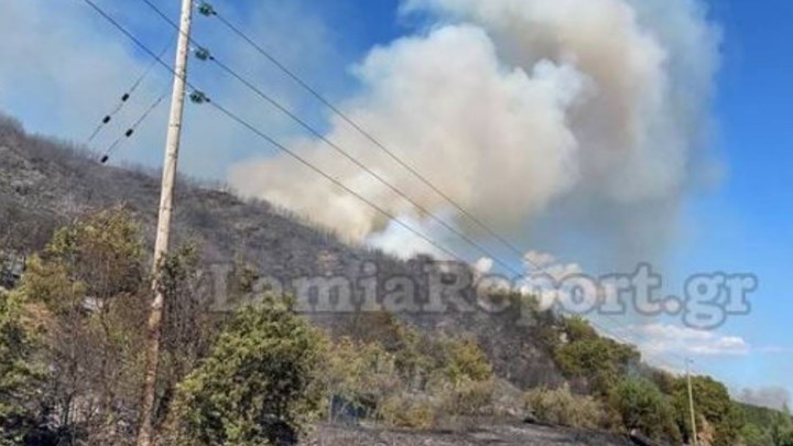Φωτιά στη Μακρακώμη Φθιώτιδας